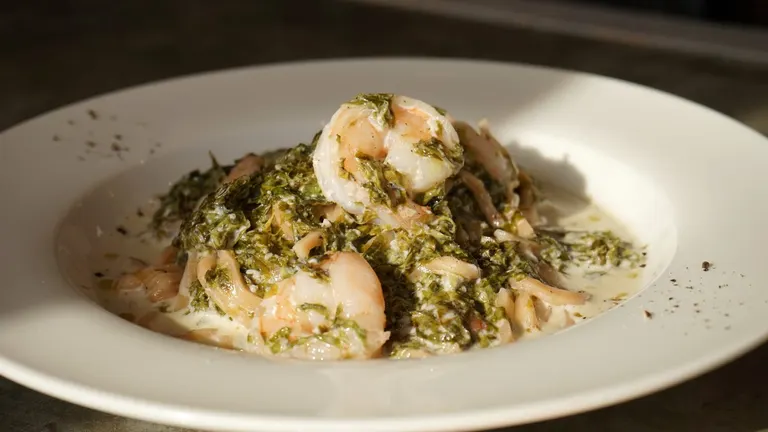 Stella terra adomani