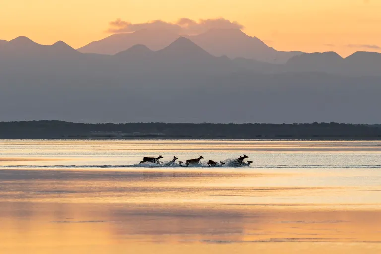A work by Kohei Nagira