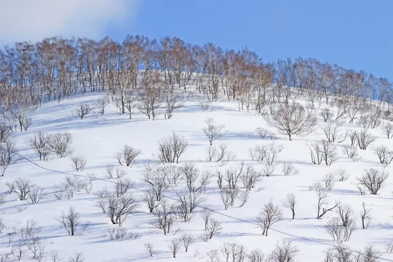 二世谷町五色温泉附近