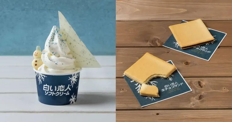 白い恋人パーク　スイートイルミネーション