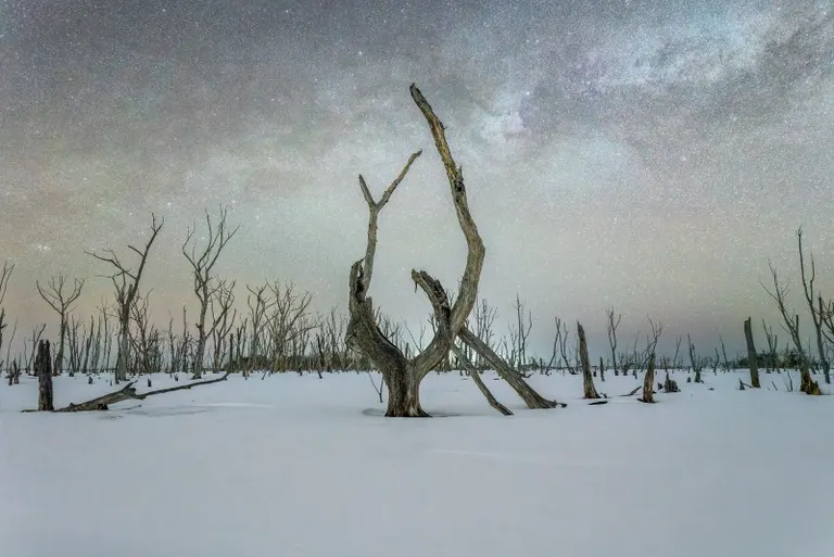 A work by Kohei Nagira