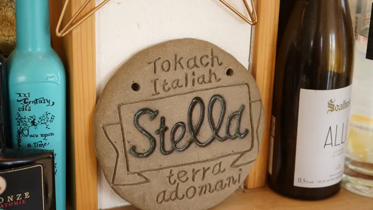 stella terra adomani