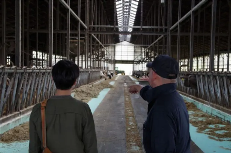 ushiyado 朝の牧場散策