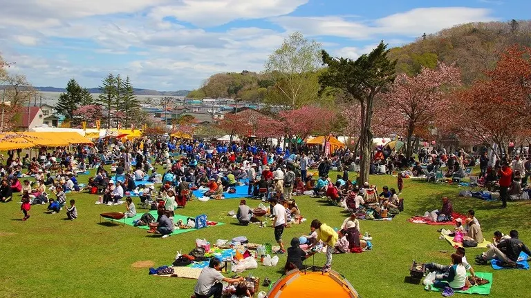 Akkeshi Cherry Blossom and Oyster Festival