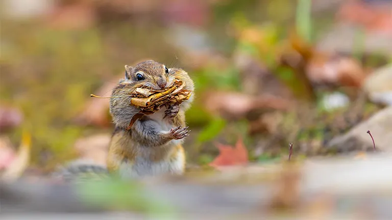 yokochin19さんの投稿