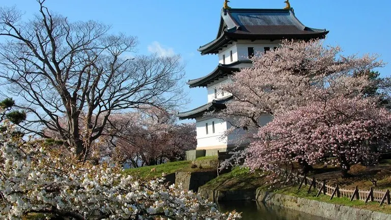 Matsumae Cherry Blossom Festival
