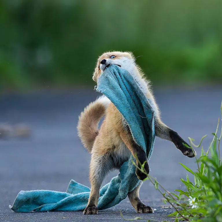 yokochin19さんの投稿