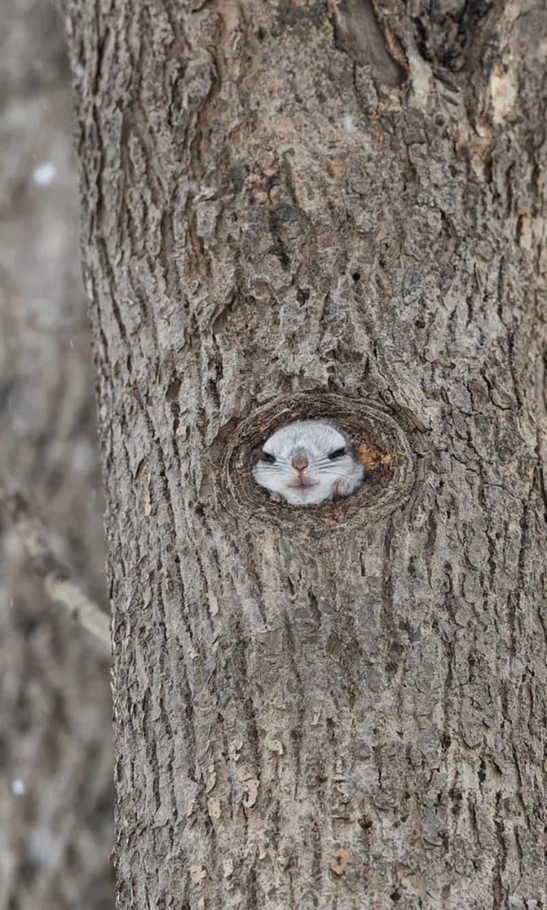 yokochin19さんの投稿