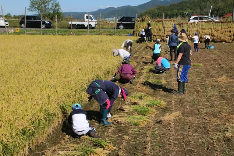 きたごりんファーム