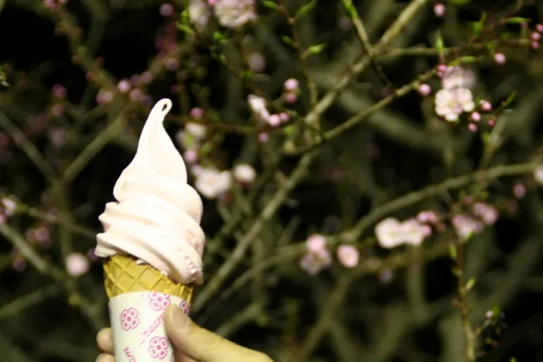 ひらおか梅まつり