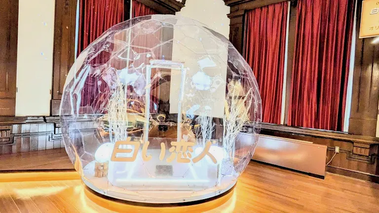 白い恋人 Akarenga sweets labo「白い恋人ソフト」