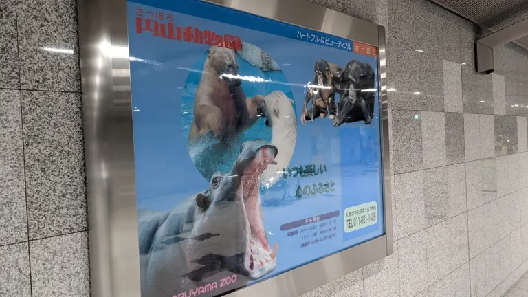 Advertising billboards in Sapporo