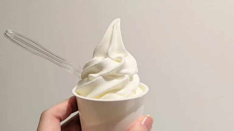 円山牛乳販売店「牛乳ソフトクリーム」