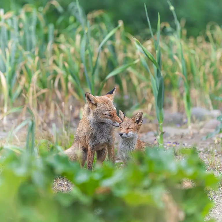 yokochin19さんの投稿
