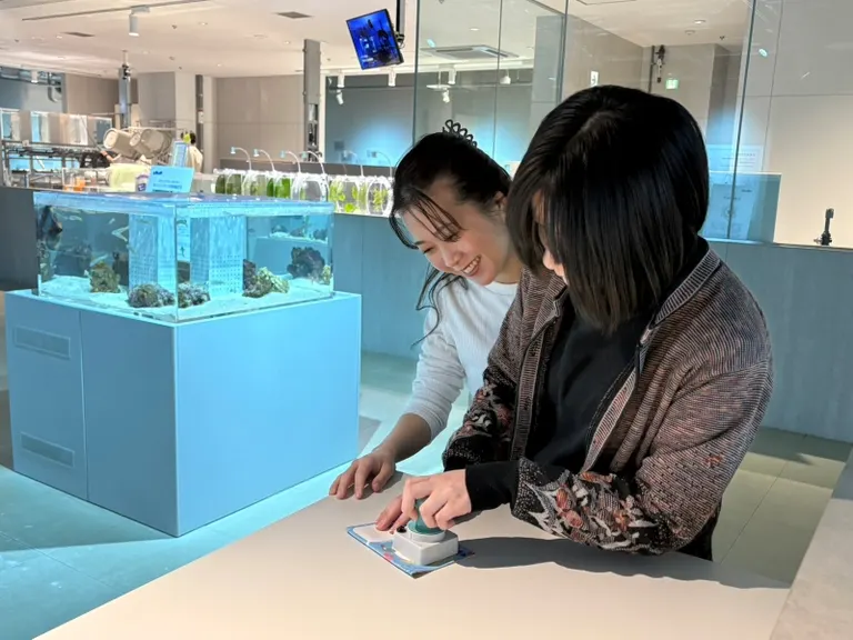 出差企鹅！尽享札幌街景与水族馆