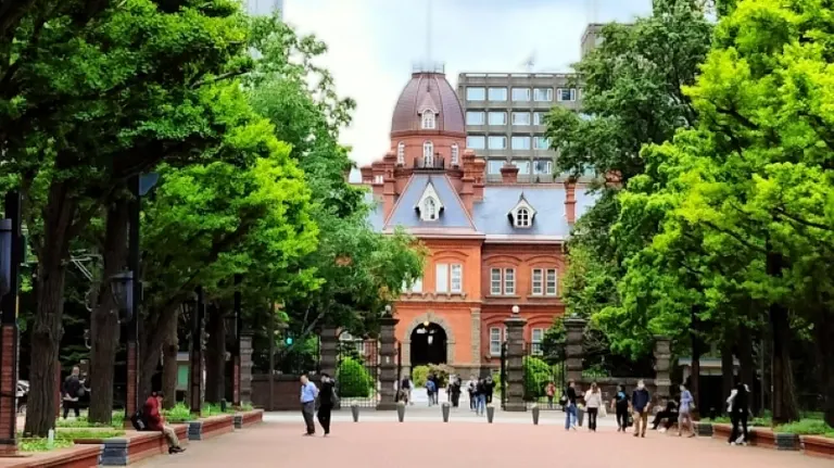 Akapla野餐电影院