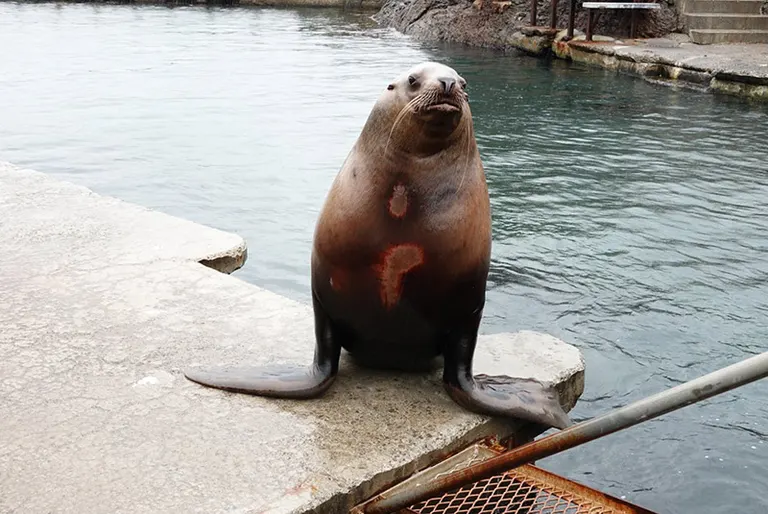 小樽水族館