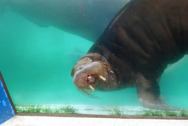 小樽水族館