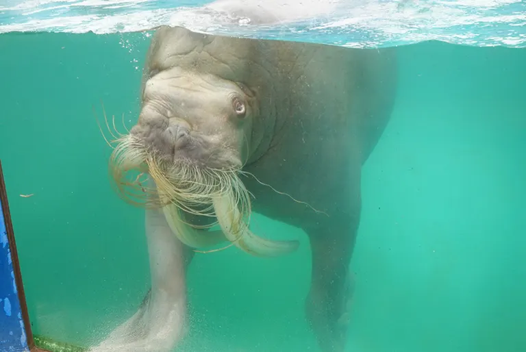 小樽水族館