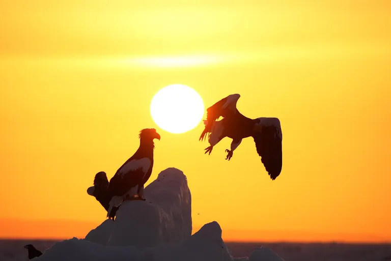 Scenery of Hokkaido