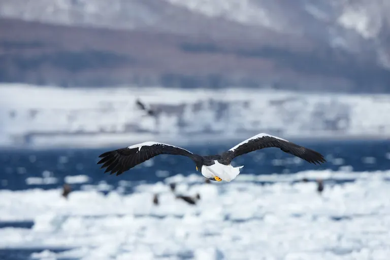 Scenery of Hokkaido