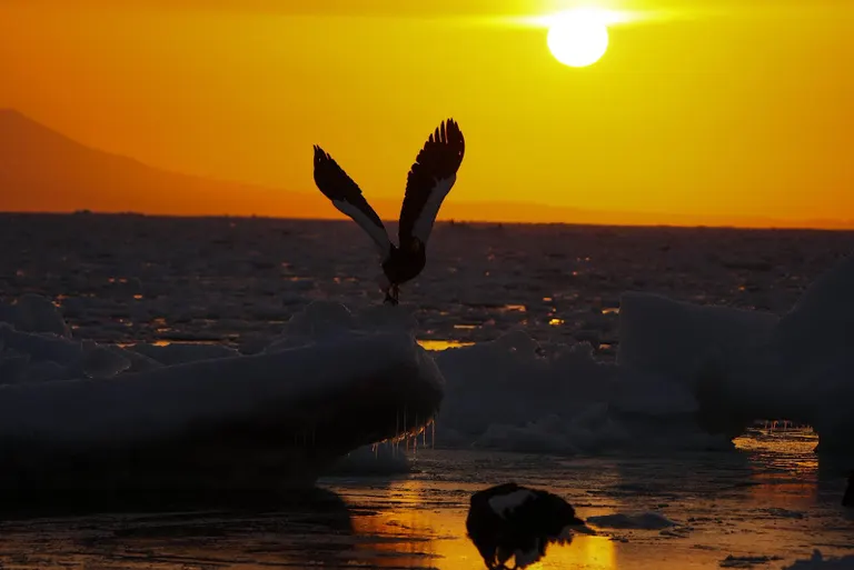 Scenery of Hokkaido