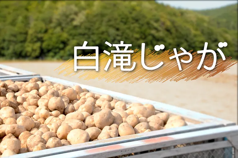 えんがぁる愛食フェア｜北海道の「今」をお届け Domingo -ドミンゴ-