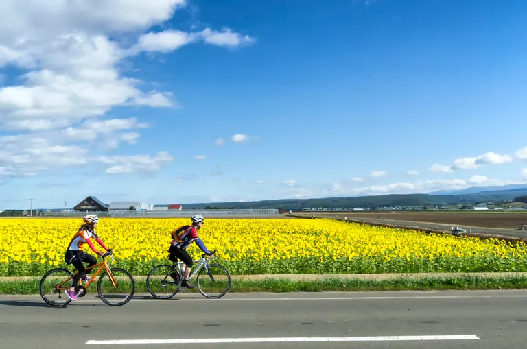なかふらのサイクリング｜北海道の「今」をお届け Domingo -ドミンゴ-