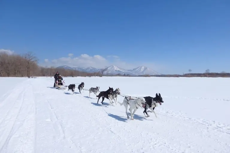 星野リゾート トマム「犬ぞりツアー」｜北海道の「今」をお届け Domingo -ドミンゴ-