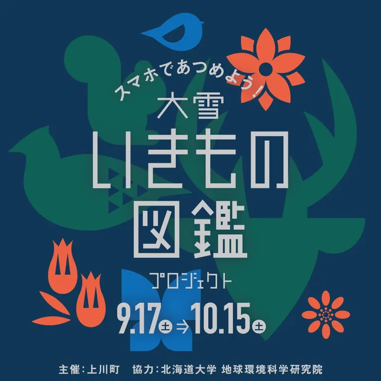 大雪いきもの図鑑プロジェクト(上川町)| Domingo -ドミンゴ-
