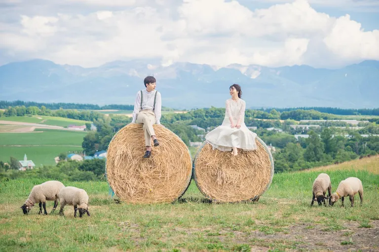 北海道の旅×フォトウェディング｢スタジオSOLA｣（美瑛町）| Domingo -ドミンゴ-