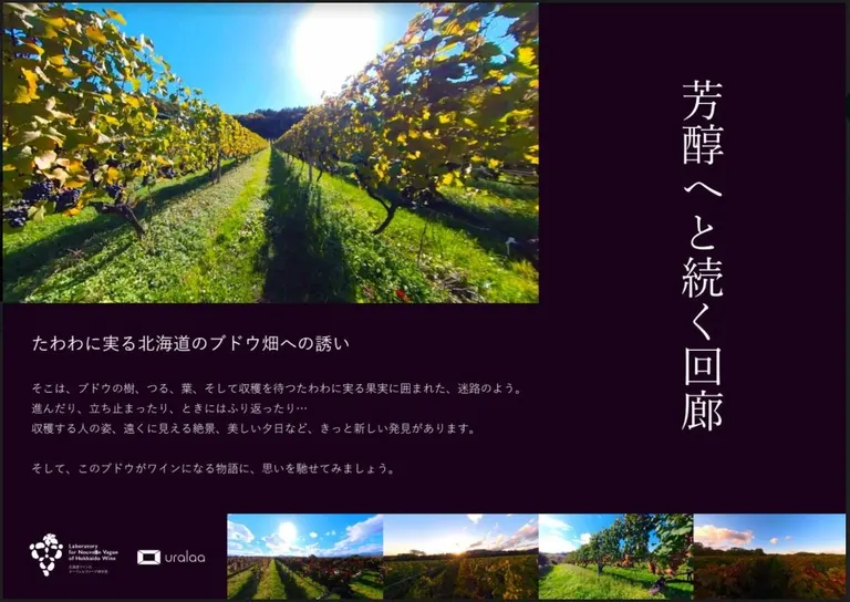 デジタル森林浴®️空間「uralaa park hokudai」(札幌市)| Domingo -ドミンゴ-