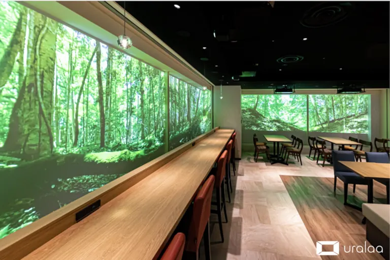デジタル森林浴®️空間「uralaa park haneda」｜北海道の「今」をお届け Domingo -ドミンゴ-