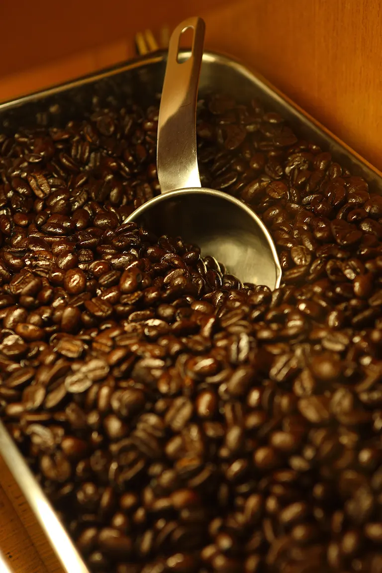 スポットタイトル