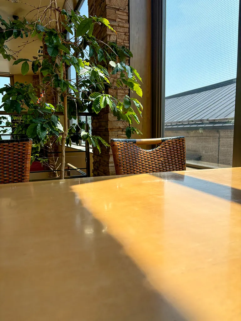 スポットタイトル