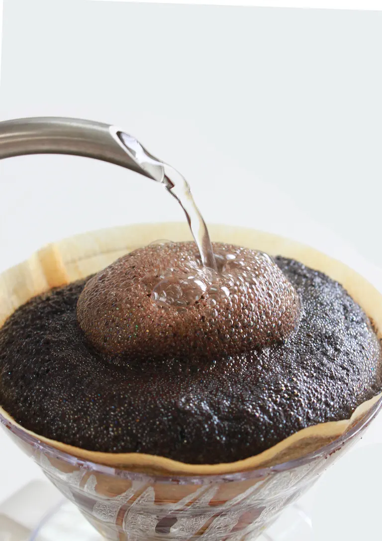 スポットタイトル