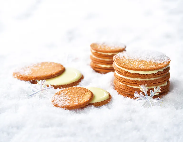 スポットタイトル