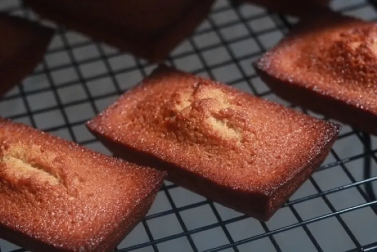 スポットタイトル