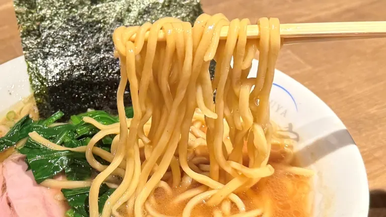 スポットタイトル