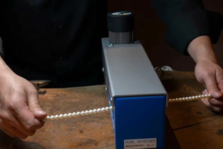 スポットタイトル