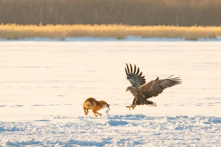 スポットタイトル