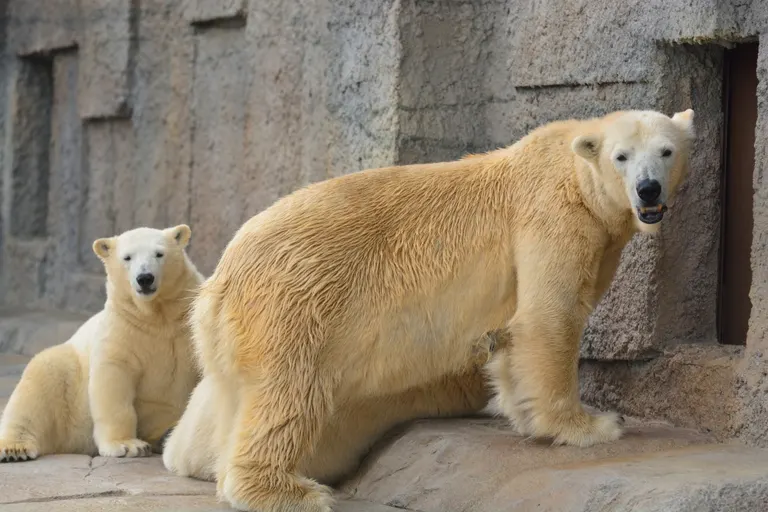 スポットタイトル