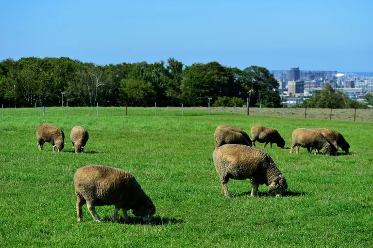 スポットタイトル