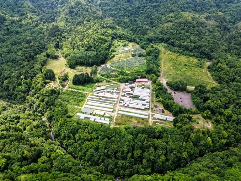 スポットタイトル