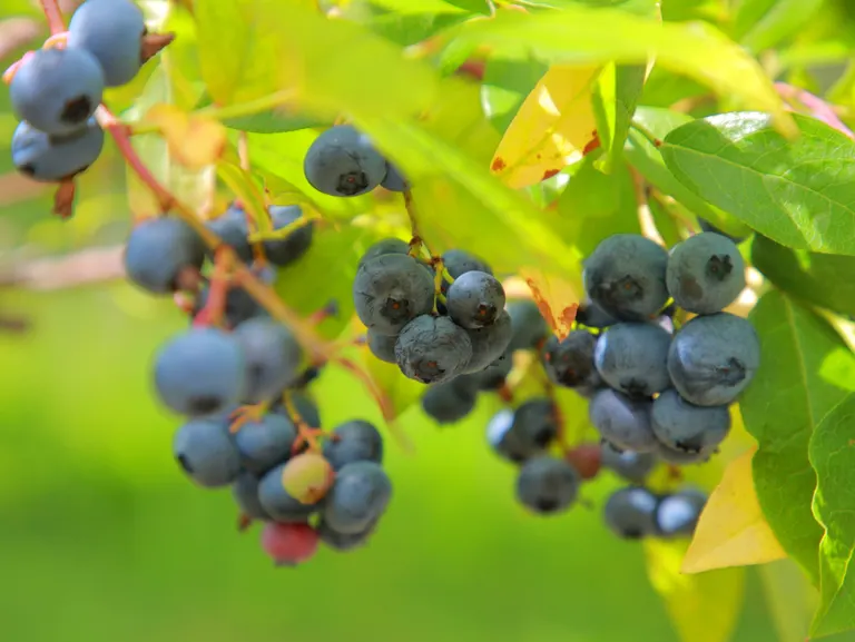 スポットタイトル