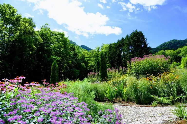 スポットタイトル