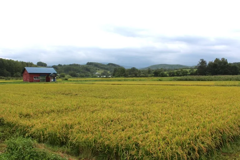 スポットタイトル