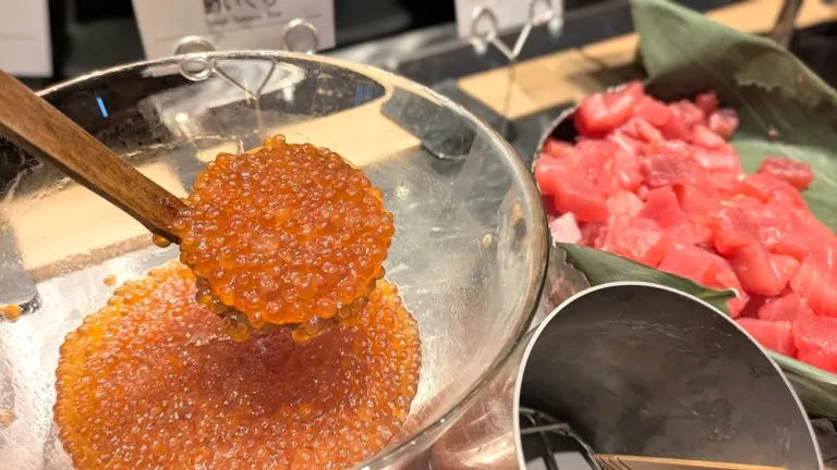 スポットタイトル