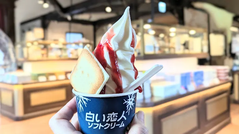 スポットタイトル