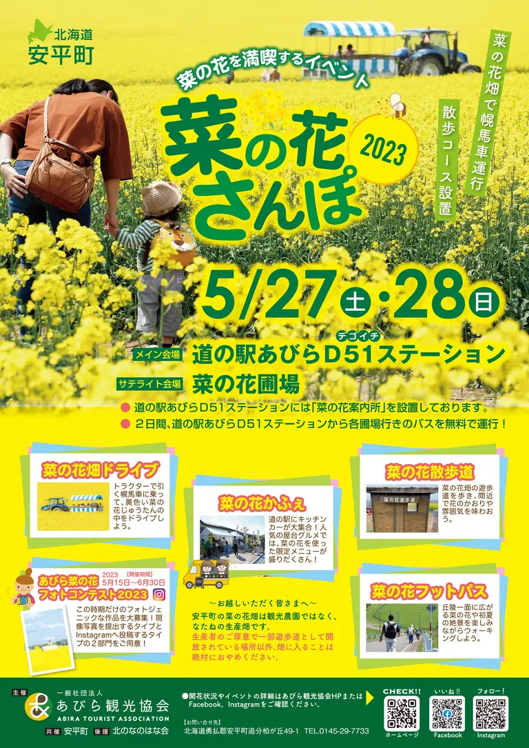 安平町 菜の花さんぽ2023｜北海道の「今」をお届け Domingo -ドミンゴ-